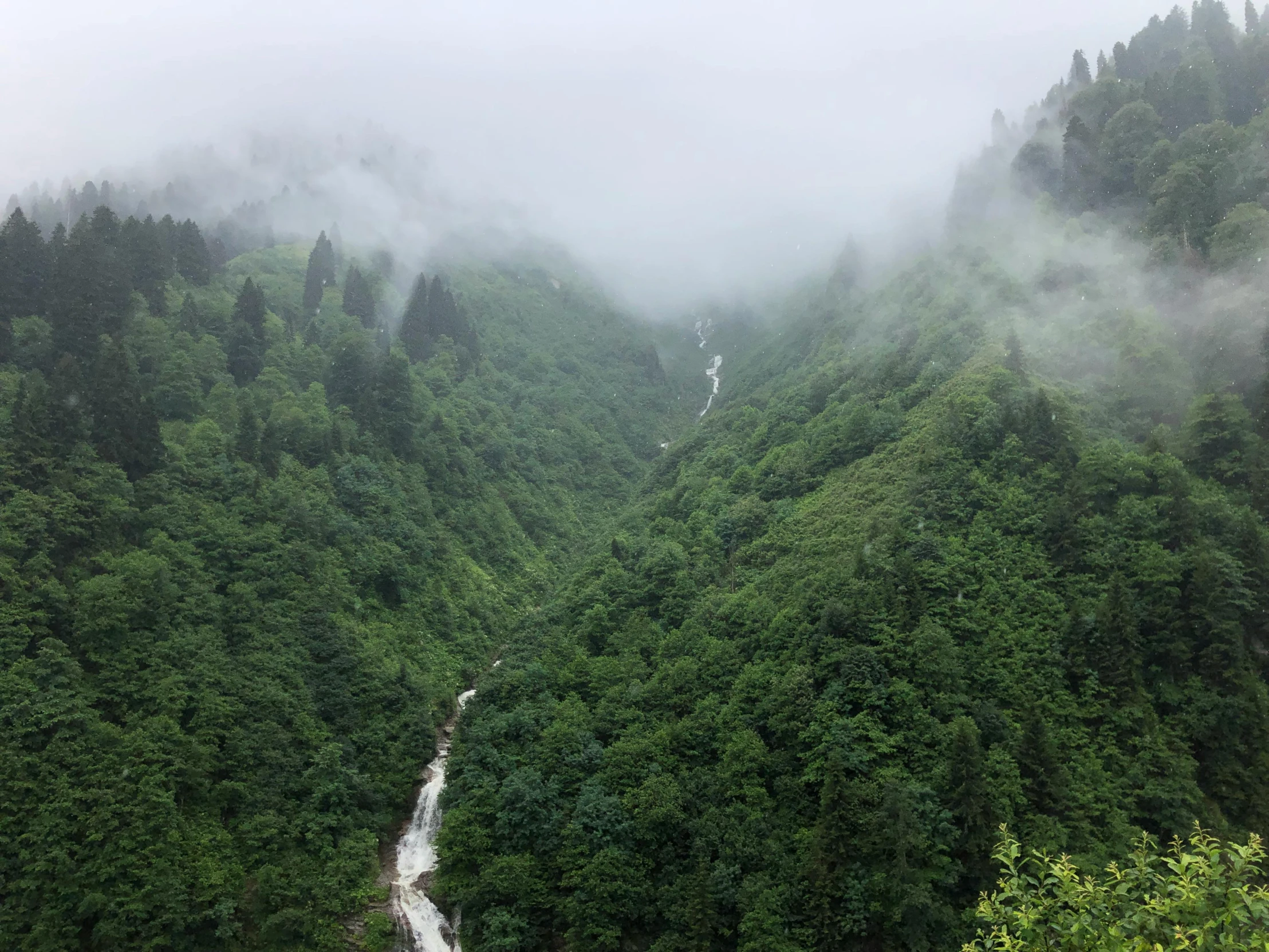 a river running through a lush green forest, by Muggur, in the bottom there a lot of fog, multiple stories, journalism photo