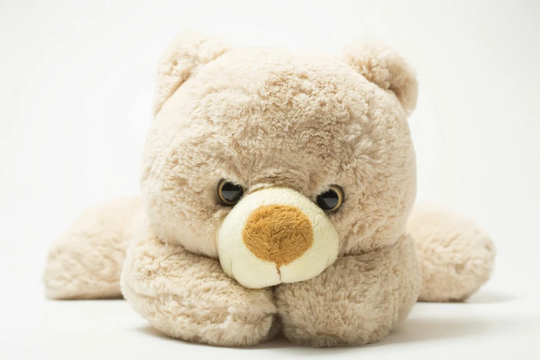 a close up of a teddy bear on a white background, pexels, hurufiyya, fan favorite, sad exasperated expression, squishmallow, beige