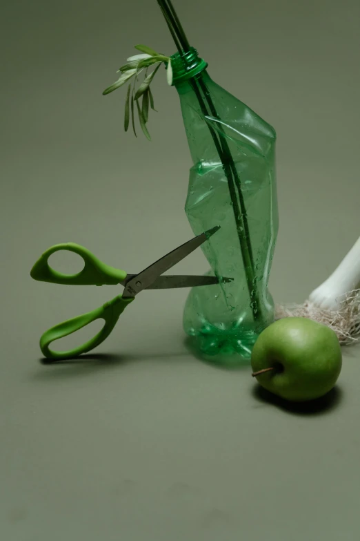 a close up of a flower in a vase with a pair of scissors, a still life, by Ben Zoeller, plasticien, recycled, one apple and one onion, green theme, translucent material