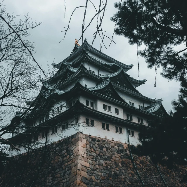 a black and white castle surrounded by trees, inspired by Kōshirō Onchi, unsplash contest winner, traditional japanese colors, brown, terrifying architecture, old city