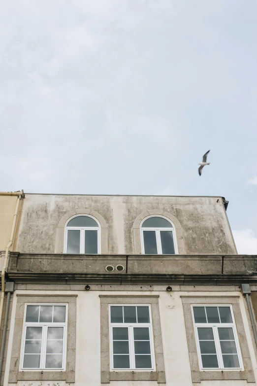 a tall building with a clock on the front of it, pexels contest winner, postminimalism, seagull, nazare (portugal), trending on vsco, a spotted dove flying