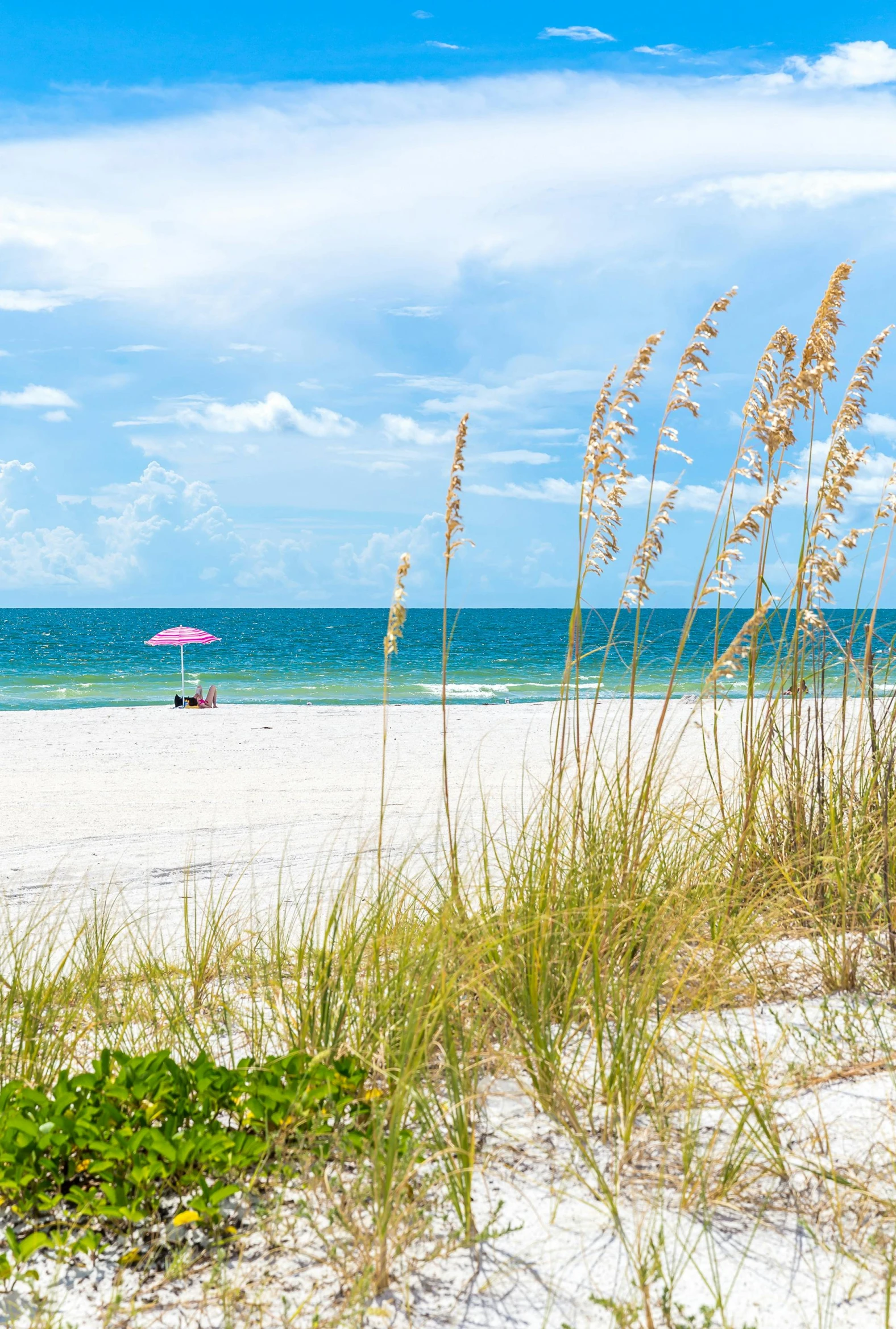 a couple of umbrellas sitting on top of a sandy beach, florida, vibrant foliage, gulf of naples, square