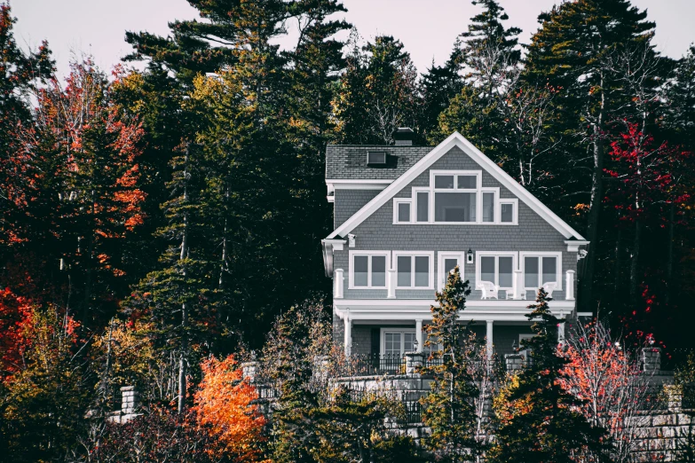 a house sitting in the middle of a forest, pexels contest winner, red brown and grey color scheme, 🌲🌌, overlooking the ocean, new hampshire