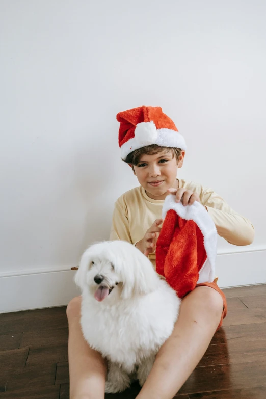 a little boy sitting on the floor with a white dog, wearing in stocking, wearing red shorts, full product shot, holiday vibe