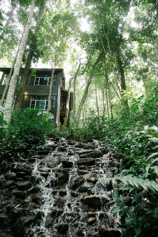 a house sitting on top of a lush green forest, cascading waterfalls, on forest jungle path, full building, ecovillage