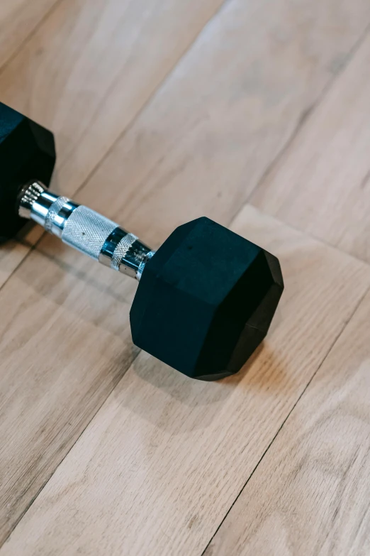 a pair of black dumbbells on a wooden floor, by Ryan Pancoast, private press, hexagonal shaped, colour corrected, half length, bells