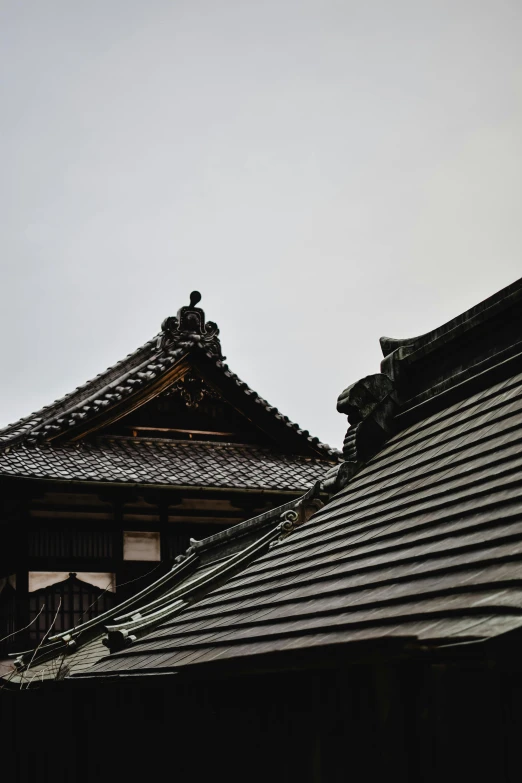 a couple of buildings that are next to each other, inspired by Itō Jakuchū, trending on unsplash, mingei, tiled roofs, low quality photo, grey, brown