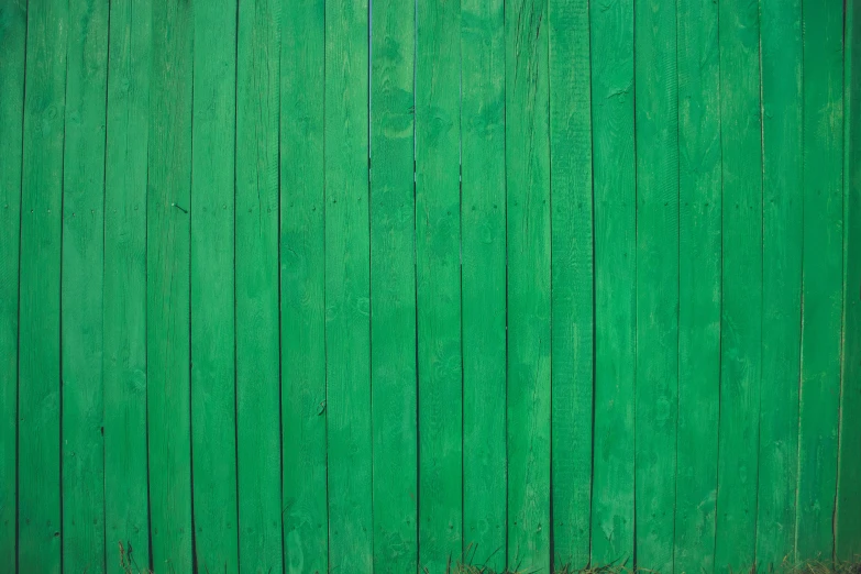 a red fire hydrant sitting in front of a green wall, an album cover, by Elsa Bleda, renaissance, wooden fence, seamless texture, green, an abstract