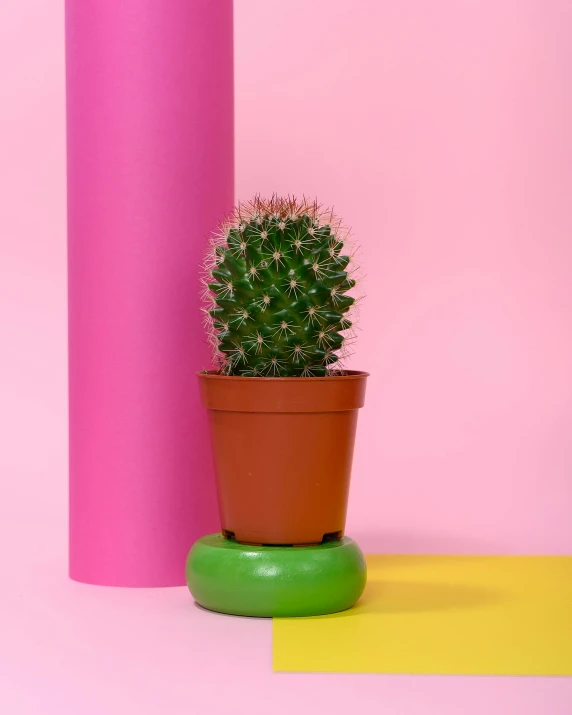 a cactus in a pot next to a pink cylinder, inspired by Sarah Lucas, pexels contest winner, happening, muted rainbow tubing, product design shot, lime green, knobbly knees