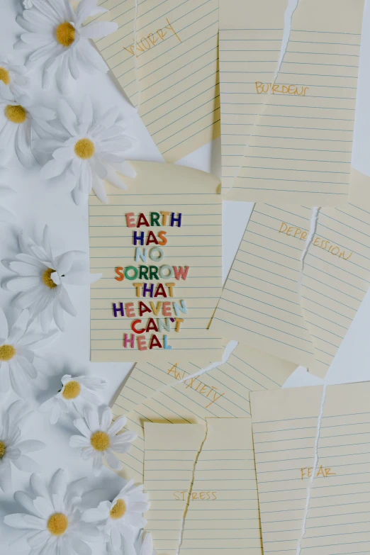 a bunch of papers sitting on top of a table, by Dulah Marie Evans, unsplash, conceptual art, gently caressing earth, broken rainbow, lettering, pressed flowers