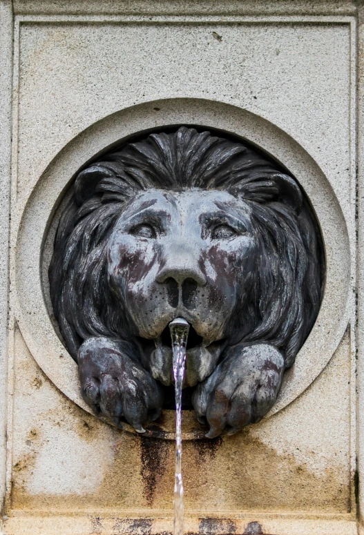 a statue of a lion drinking water from a fountain, by Adam Szentpétery, pexels contest winner, symmetrical detail, water running down the walls, from wheaton illinois, lion icon