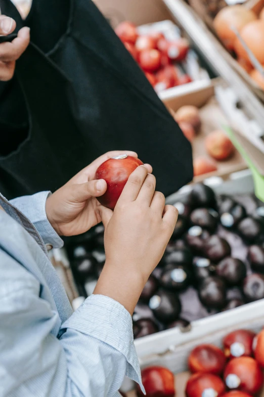 a woman holding an apple in front of a fruit stand, by Julia Pishtar, pexels contest winner, islamic, inspect in inventory image, maroon, graphic detail