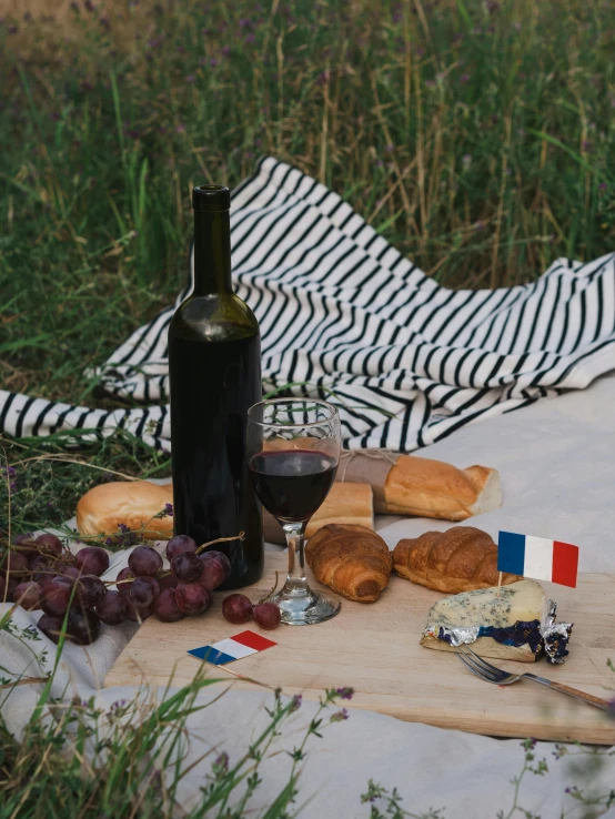 a bottle of wine sitting on top of a blanket, inspired by Jules Bastien-Lepage, pexels contest winner, baking french baguette, patriotism, forest picnic, striped