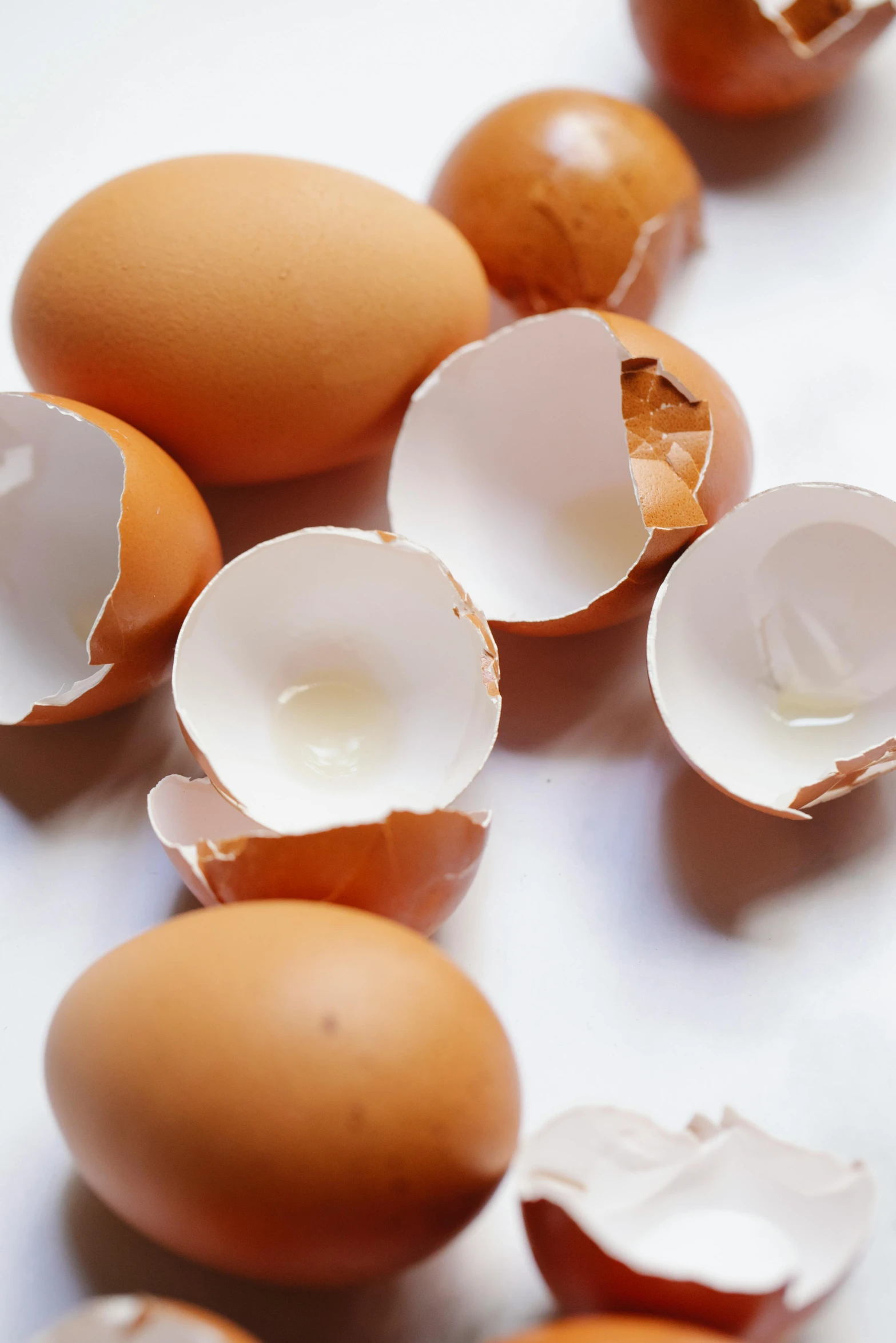 a bunch of eggs sitting on top of a table, broken, up-close, half image, subtle wear - and - tear