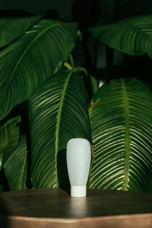 a white vase sitting on top of a wooden table, in a jungle, holding a microphone, synthetic bio skin, eero aarnio