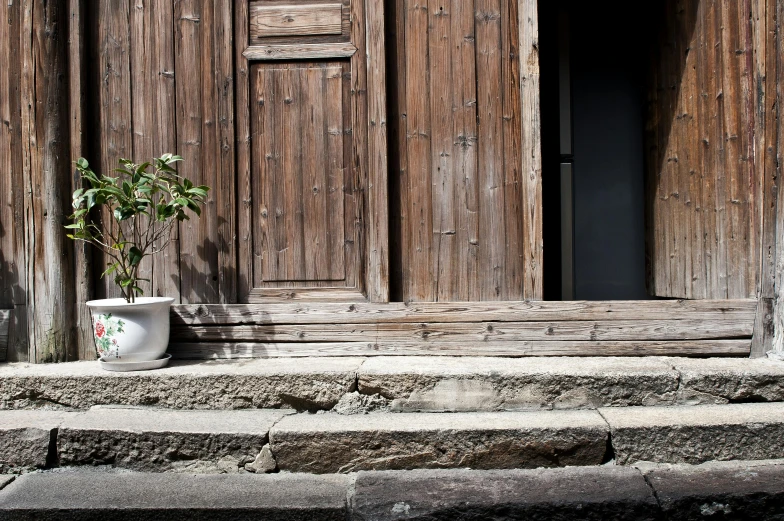 a potted plant sitting in front of a wooden door, shin hanga, whitewashed buildings, architectural photo, stone and wood, background image