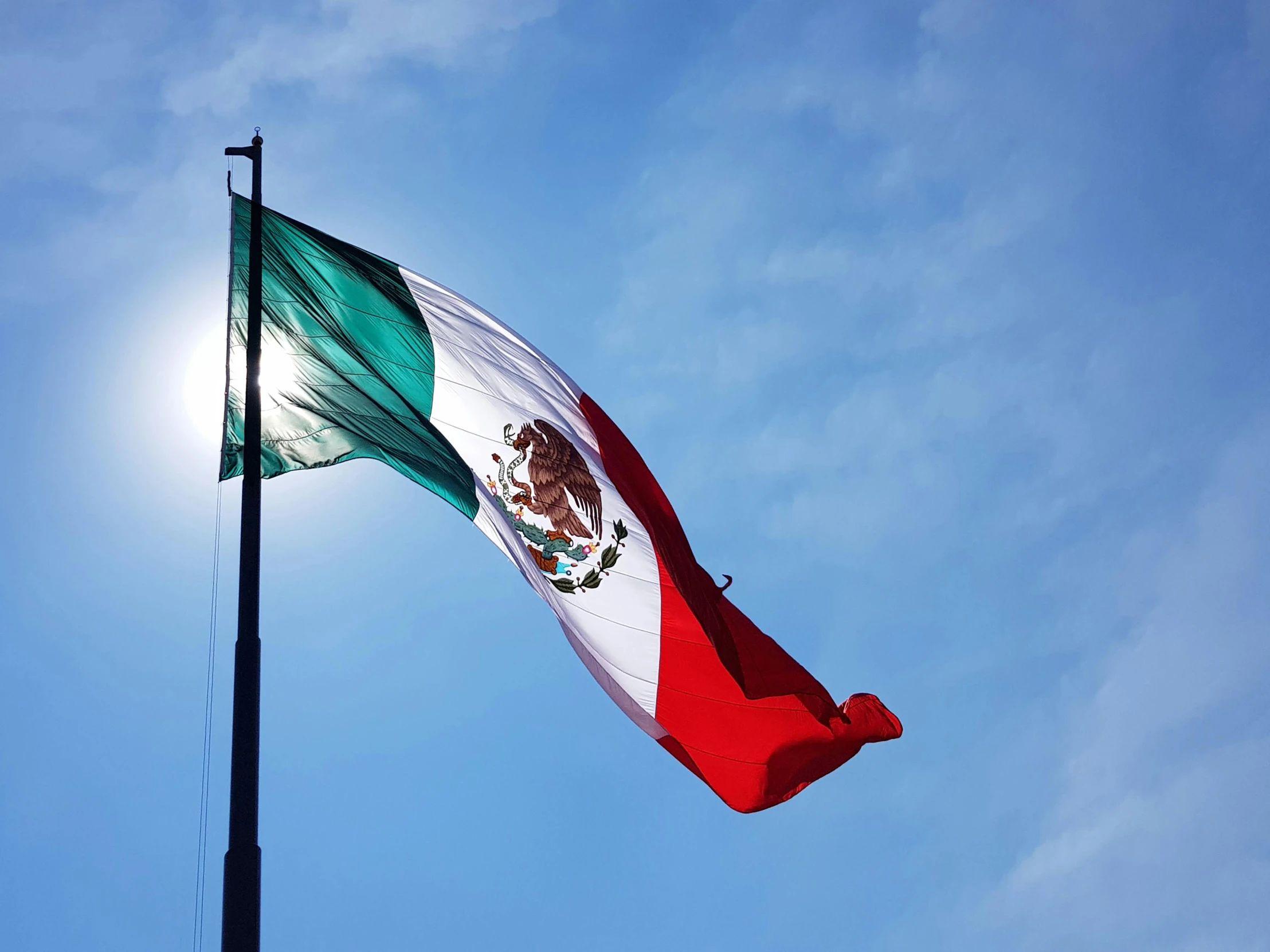 the mexican flag is flying high in the sky, by Meredith Dillman, pexels contest winner, square, perfect crisp sunlight, 🚿🗝📝, an olive skinned