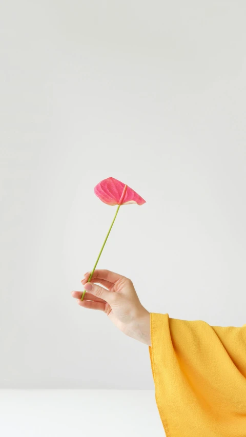 a woman holding a pink flower in her hand, unsplash, minimalism, holding a wooden staff, low quality photo