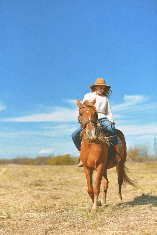 a woman riding on the back of a brown horse, by Gwen Barnard, trending on unsplash, in australia, slide show, blue sky, mexican vaquero