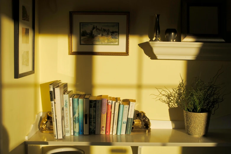 a desk with a bunch of books on it, by Pamela Ascherson, golden hour photograph, yellow, shelf, day lighting