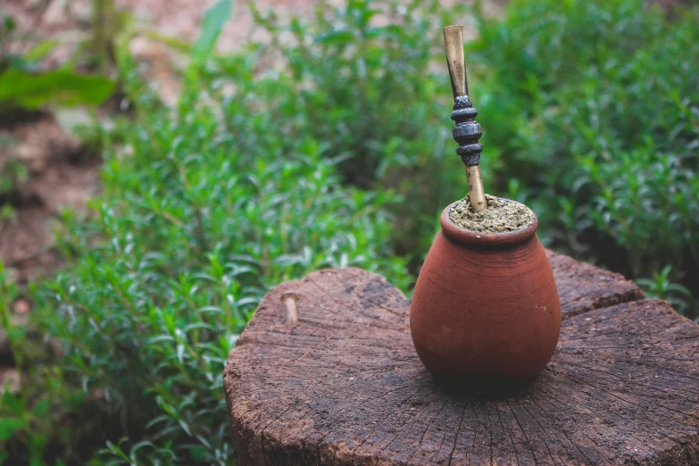 a small pot sitting on top of a tree stump, inspired by Ceferí Olivé, unsplash, hurufiyya, with a straw, mixture turkish and russian, pipe, middle eastern