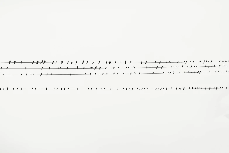 a flock of birds sitting on top of a wire, an album cover, by Jan Kupecký, unsplash, minimalism, made of notation, ffffound, hedi slimane, music album art