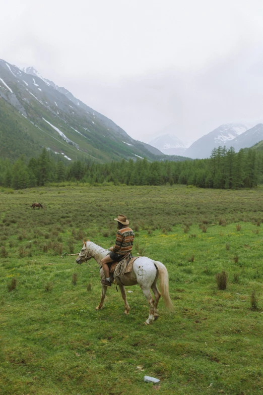 a man riding on the back of a white horse, an album cover, inspired by Konstantin Vasilyev, pexels contest winner, mountain behind meadow, sichuan, square, nat geo