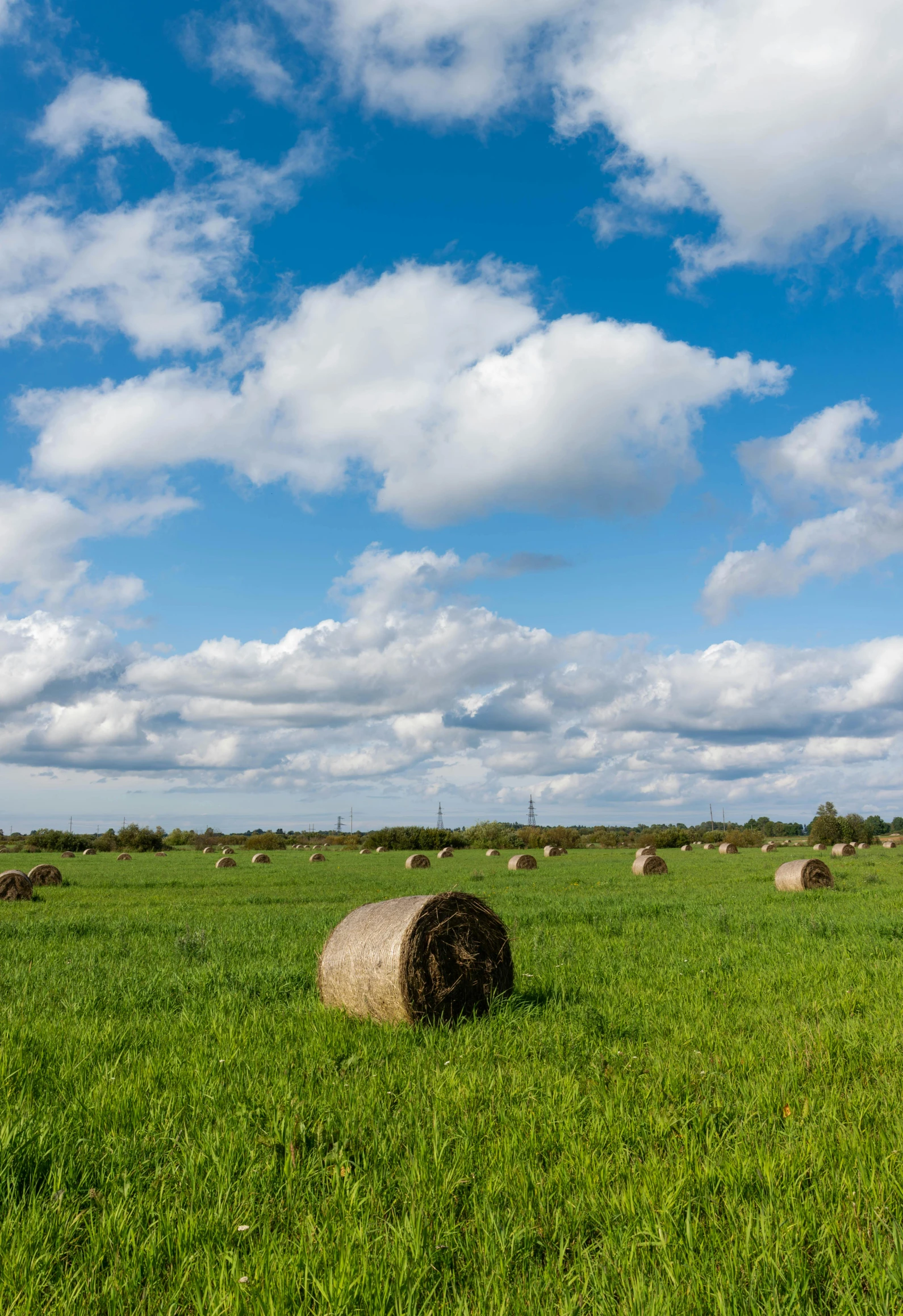 a field full of hay bales under a cloudy blue sky, by Matthias Stom, land art, square, 4k), “puffy cloudscape, a long-shot