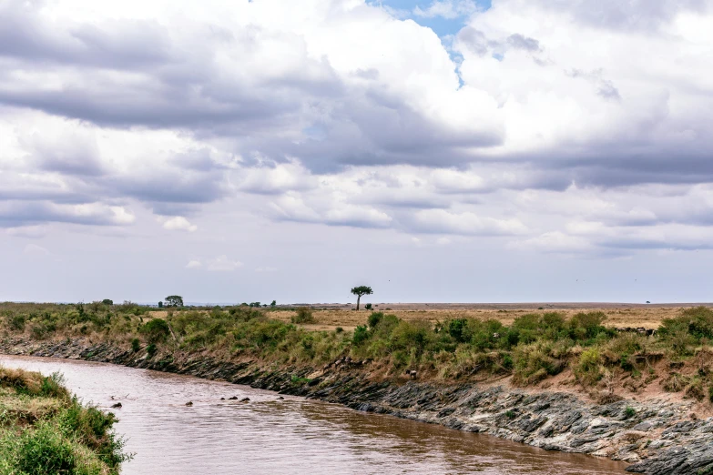 a river running through a dry grass covered field, unsplash, hurufiyya, acacia trees, the lion king, an island, conde nast traveler photo