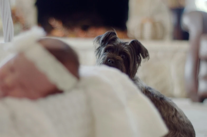 a small dog sitting on top of a bed next to a baby, pexels contest winner, in front of a fireplace, shot from cinematic, close up shot from the side, the birth