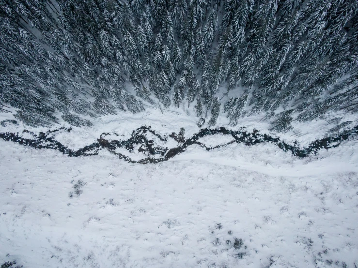 a group of people riding skis down a snow covered slope, by Jessie Algie, pexels contest winner, land art, river in a forest, top down perspecrive, ominous! landscape of north bend, wolf in a snowfield