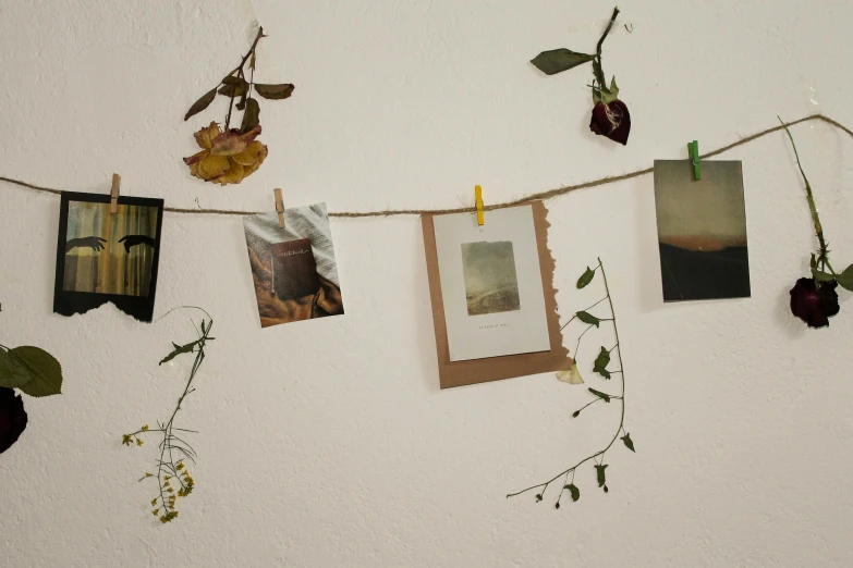 a bunch of pictures hanging on a clothes line, a polaroid photo, inspired by Elsa Bleda, visual art, on a botanical herbarium paper, dried vines, trending photo, card frame