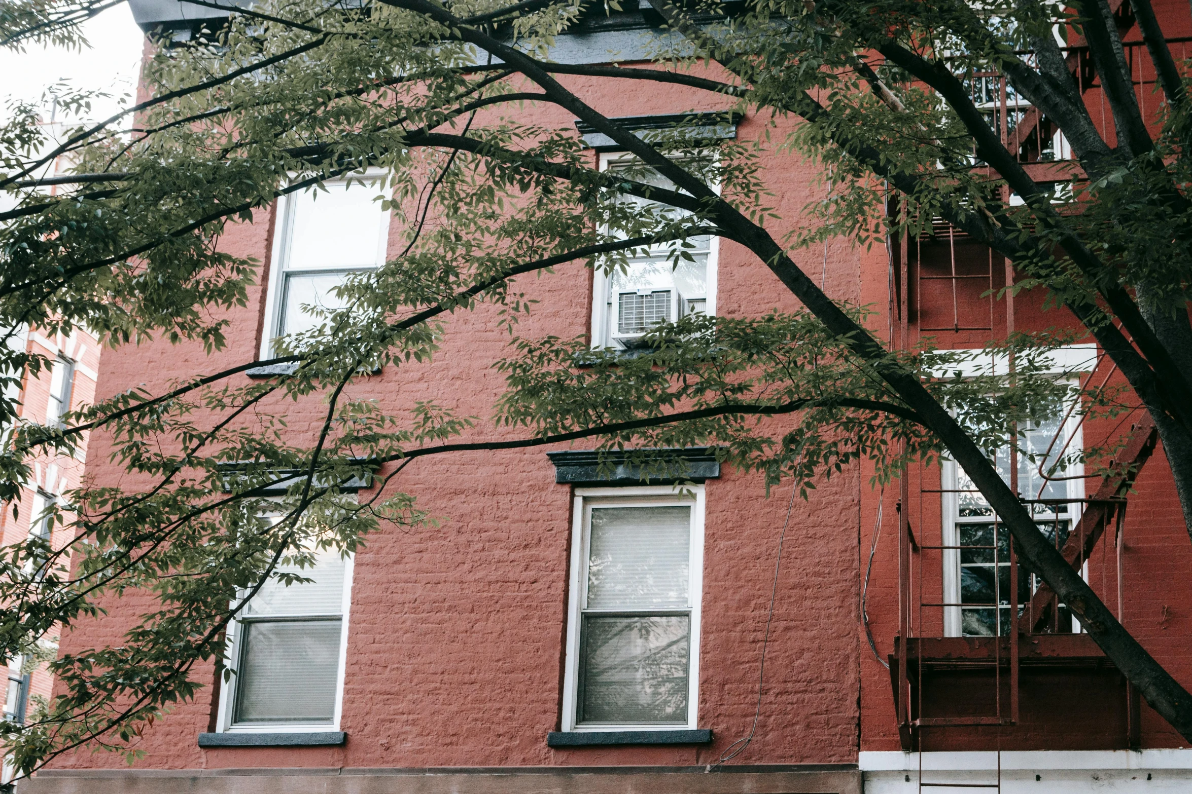 a fire hydrant in front of a red brick building, a photo, unsplash, massive trees with warm windows, cramped new york apartment, 2000s photo, ignant