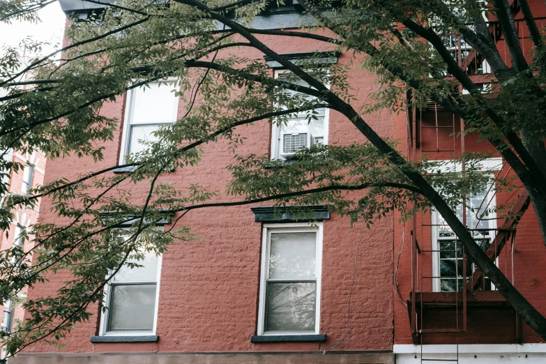 a fire hydrant in front of a red brick building, a photo, unsplash, massive trees with warm windows, cramped new york apartment, 2000s photo, ignant