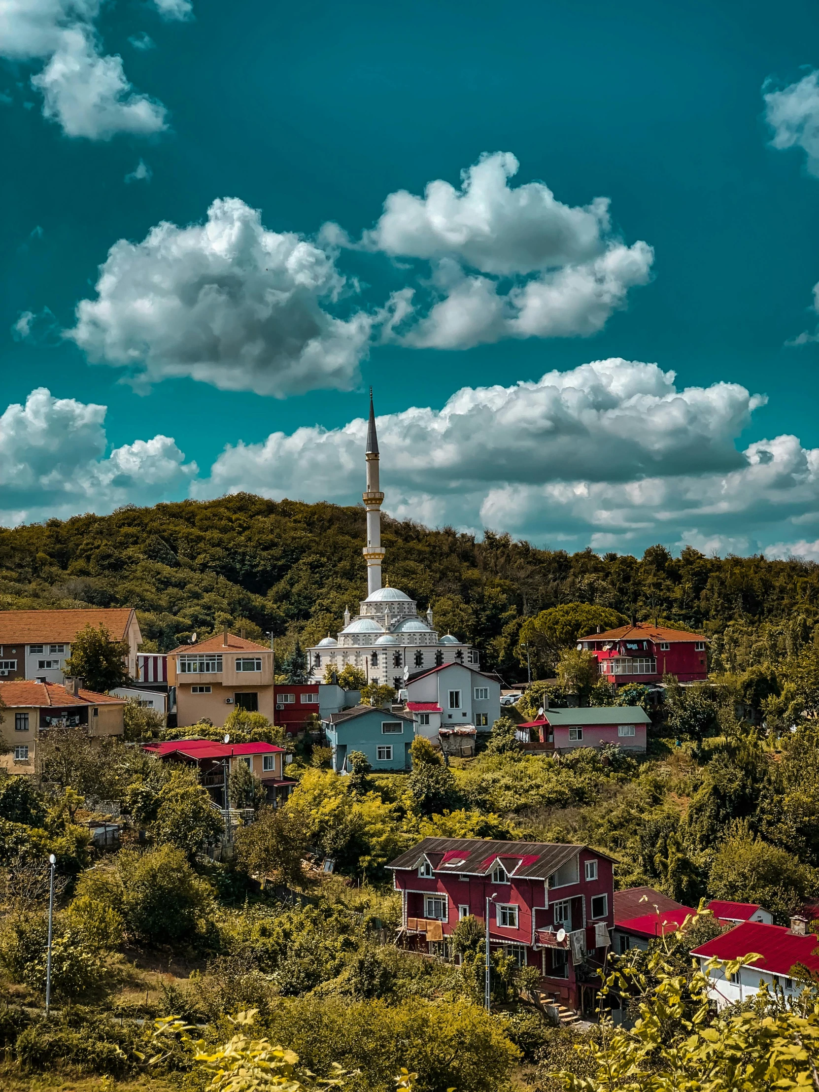 a view of a town from the top of a hill, a colorized photo, by Ibrahim Kodra, pexels contest winner, mosque, against the backdrop of trees, today\'s featured photograph 4k, square