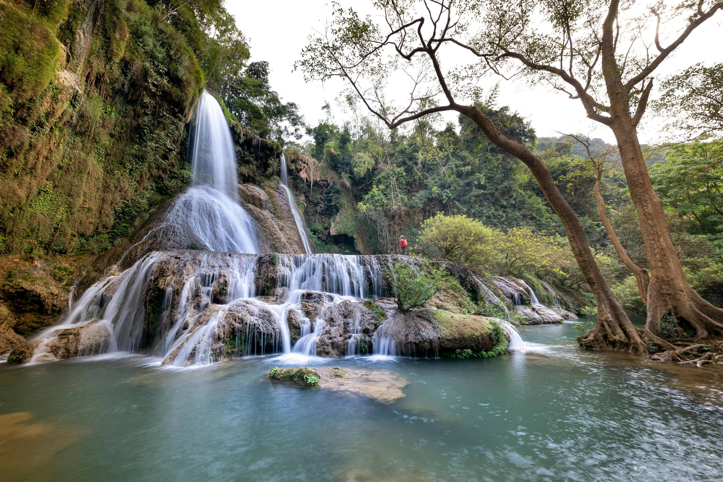 a waterfall in the middle of a forest, an album cover, inspired by Lam Qua, pexels contest winner, hurufiyya, white travertine terraces, laos, exterior shot, swimming