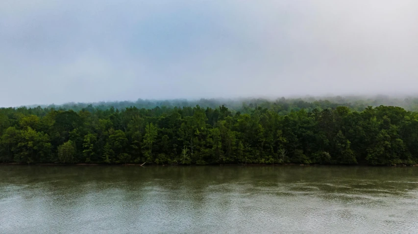 a large body of water surrounded by trees, inspired by Asher Brown Durand, pexels contest winner, romanticism, gray fog, grey, muted green, cahaba river alabama