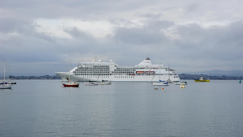 a large cruise ship in the middle of a body of water, by Joseph Severn, pexels contest winner, renaissance, white and silver, 2 5 6 x 2 5 6 pixels, new zealand, high quality photo