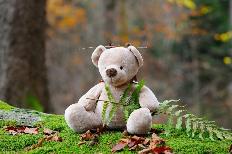 a teddy bear sitting on top of a moss covered rock, sitting on a leaf, childrens toy, birch, grey