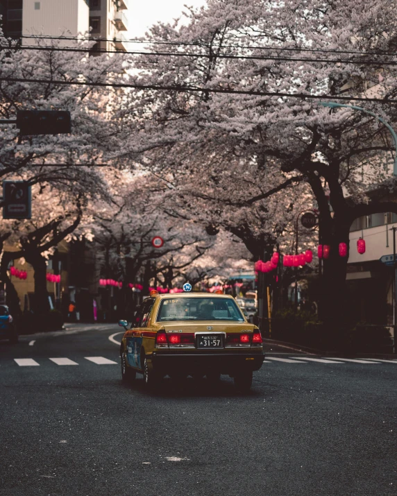 a yellow taxi driving down a street next to tall buildings, a picture, unsplash contest winner, ukiyo-e, lush sakura trees, vintage photo, lights with bloom, 🚿🗝📝