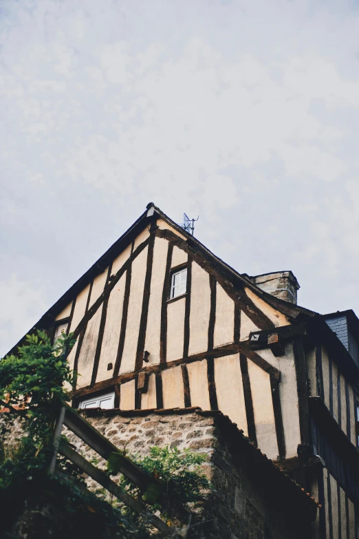 a tall building sitting on top of a lush green hillside, an album cover, inspired by Villard de Honnecourt, unsplash, renaissance, peaked wooden roofs, street corner, rennes - le - chateau, exterior view