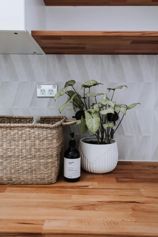 a potted plant sitting on top of a wooden counter, by Daarken, minimalism, oven, electrical details, flatlay, perfectly tileable