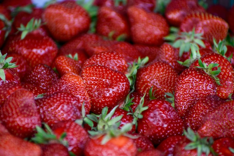 a close up of a bunch of strawberries, by Matt Stewart, fan favorite, avatar image