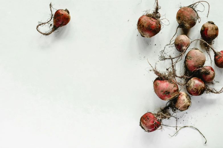 a bunch of radishes on a white surface, an album cover, unsplash, background image, deteriorated, 'untitled 9 ', roots