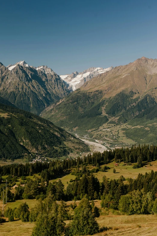 a herd of cattle standing on top of a lush green hillside, a picture, inspired by Werner Andermatt, pexels contest winner, les nabis, looking down at the valley, alp, behind a tiny village, snow capped mountains