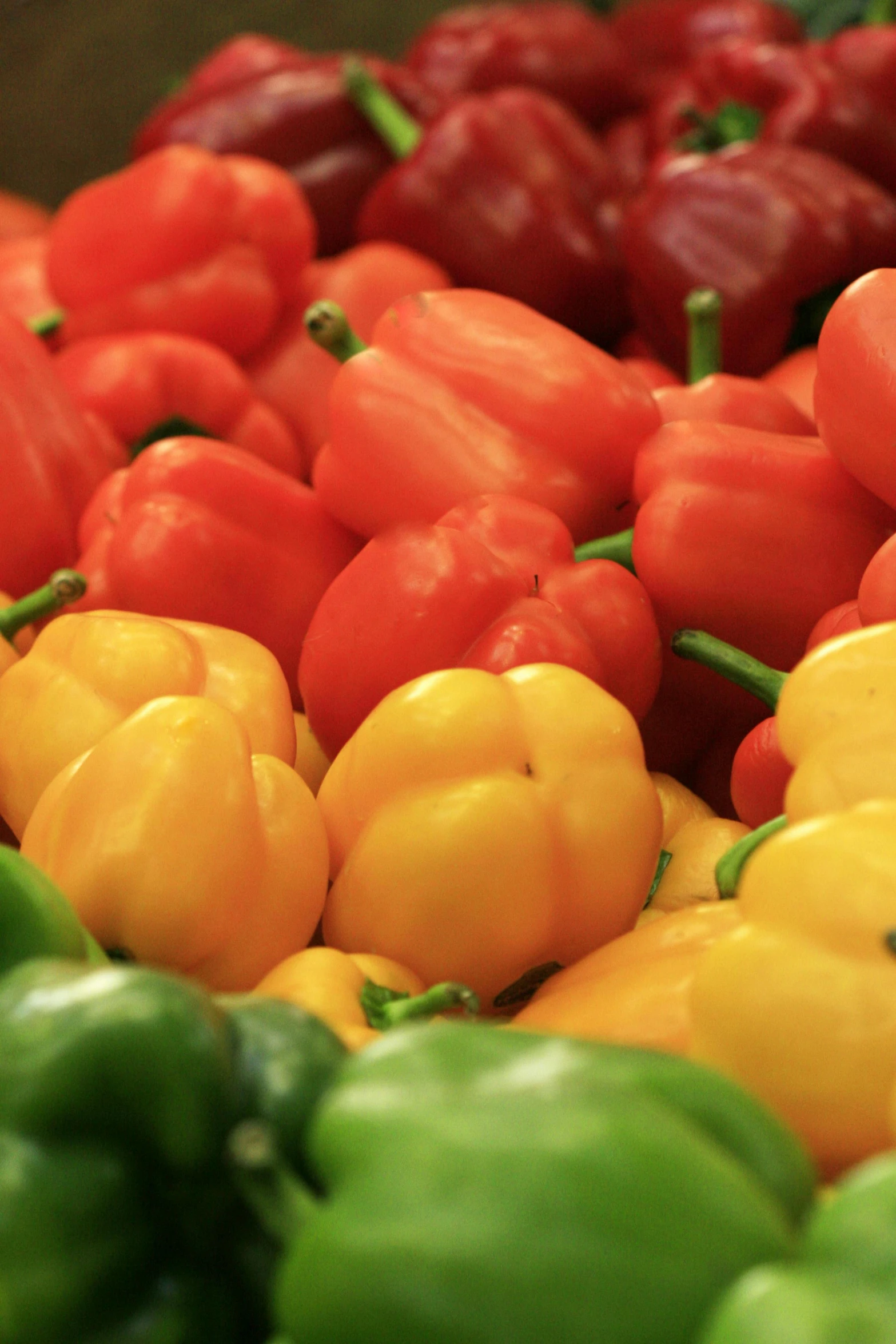 a pile of peppers sitting on top of each other, renaissance, zoomed in, full product shot, 2 5 6 x 2 5 6 pixels, medium shot angle