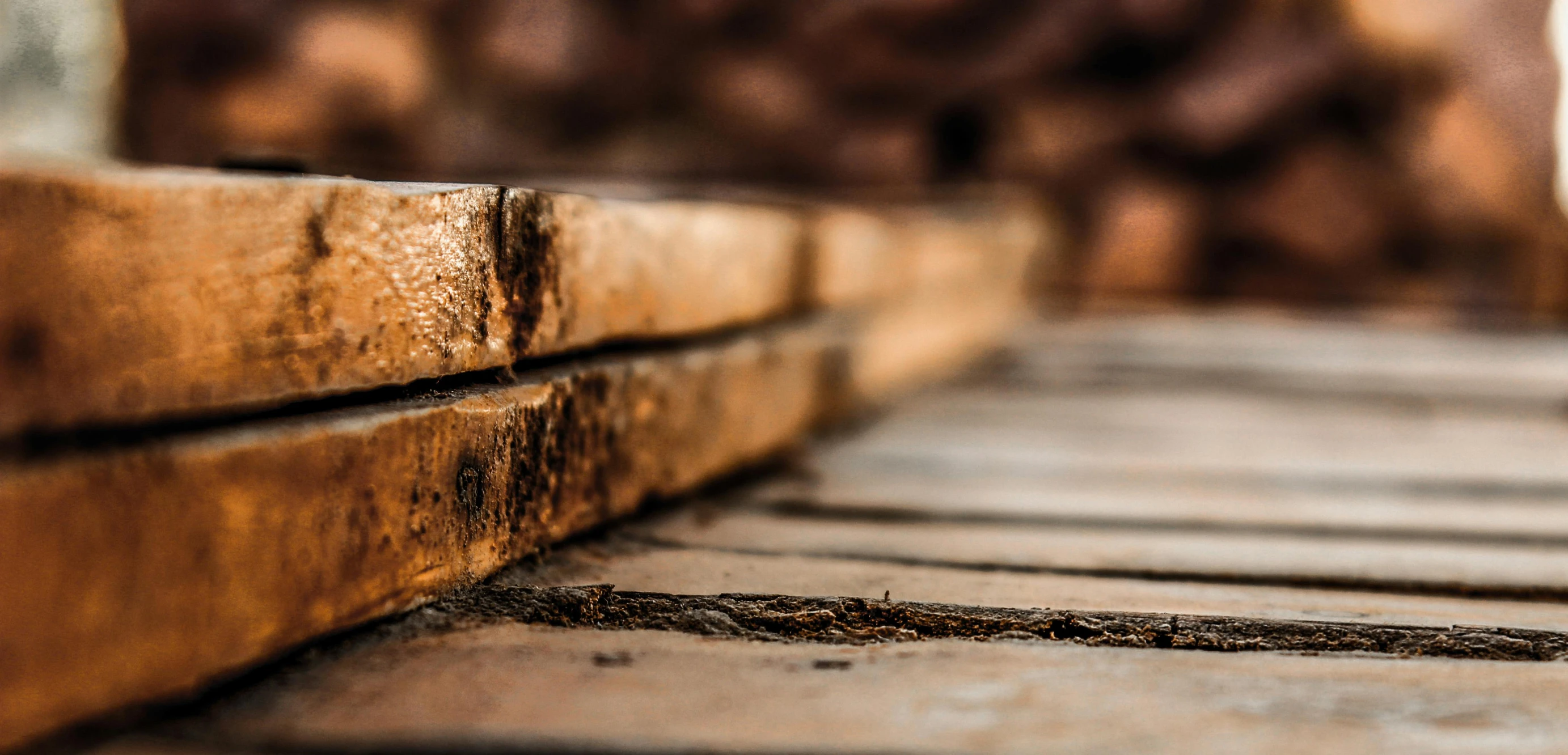 a cat sitting on top of a wooden walkway, a macro photograph, by Jesper Knudsen, unsplash, auto-destructive art, bricks, background image, brown, pallet