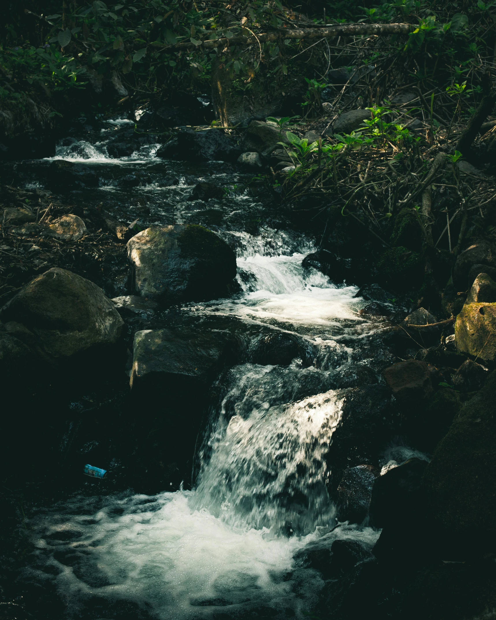 a stream running through a lush green forest, an album cover, inspired by Elsa Bleda, pexels contest winner, sumatraism, running water, trending on vsco, ( ( ( kauai ) ) ), white water