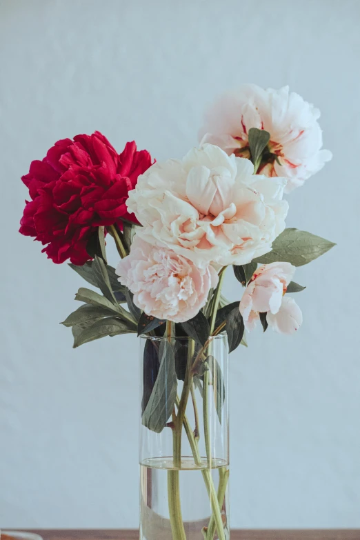 a vase filled with flowers sitting on top of a table, pexels, peony, payne's grey and venetian red, with a soft, 3delight