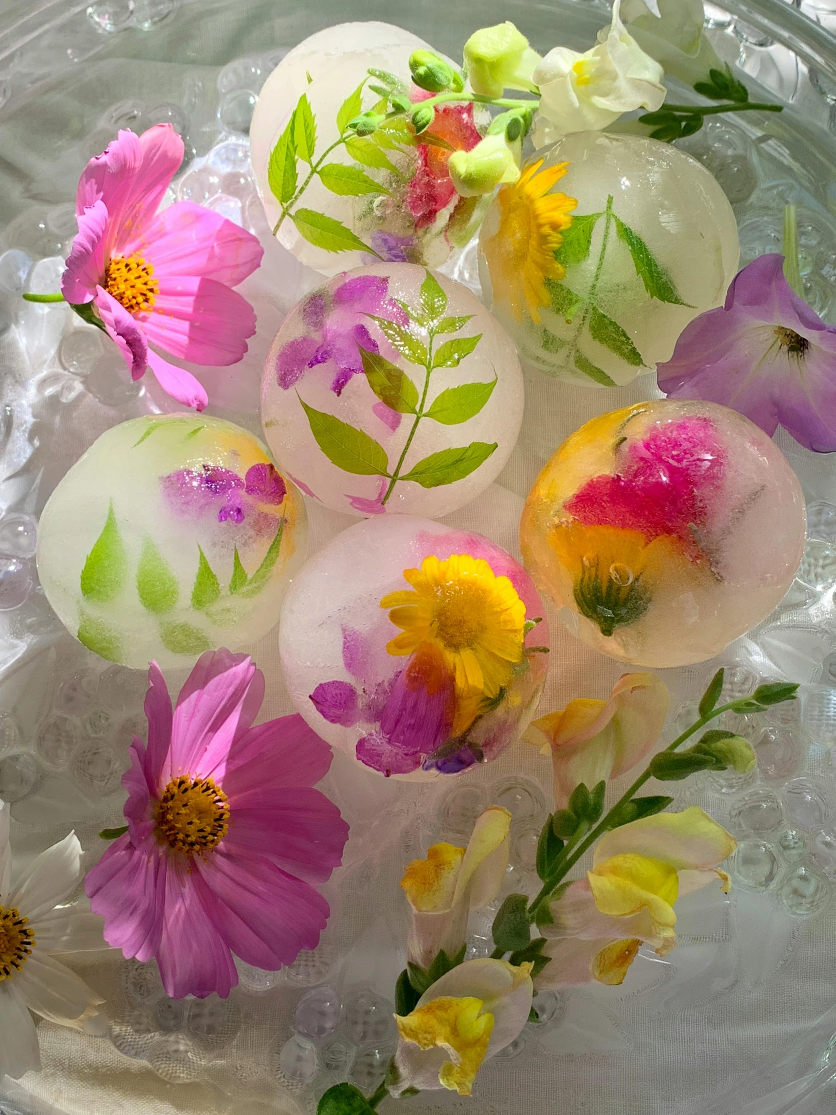 a bowl filled with ice and flowers on top of a table, translucent orbs, cheery, full product shot, press